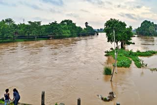 Flood In Dhanrua