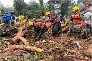 Wayanad landslide