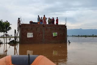 NDRF Rescues Over 40 Villagers Of Bihar, Jharkhand Stranded In Flood Waters Of Sone River