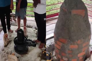 Gwalior women filled shivling