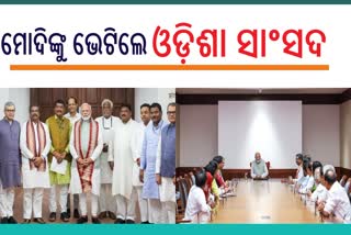 PM Modi Meets Odisha MPs