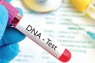 DNA TEST IN SAMEJ VILLAGE