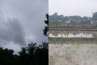 Jharkhand now included in list of states with normal rainfall