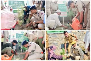 Plantation campaign in Ganderbal