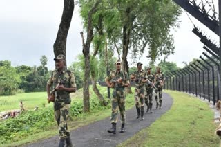 INDO BANGLA BORDER  BSF ALERT IN BORDER  BANGLADESH PROTEST  SHEIKH HASINA RESIGNATION