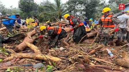 Wayanad landslide