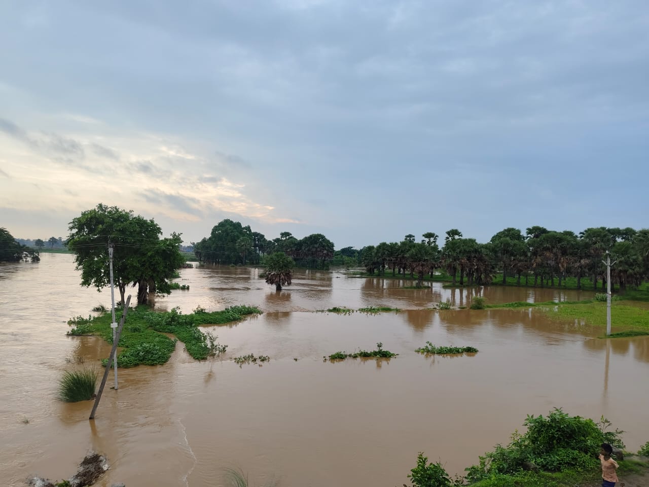 Flood In Dhanrua