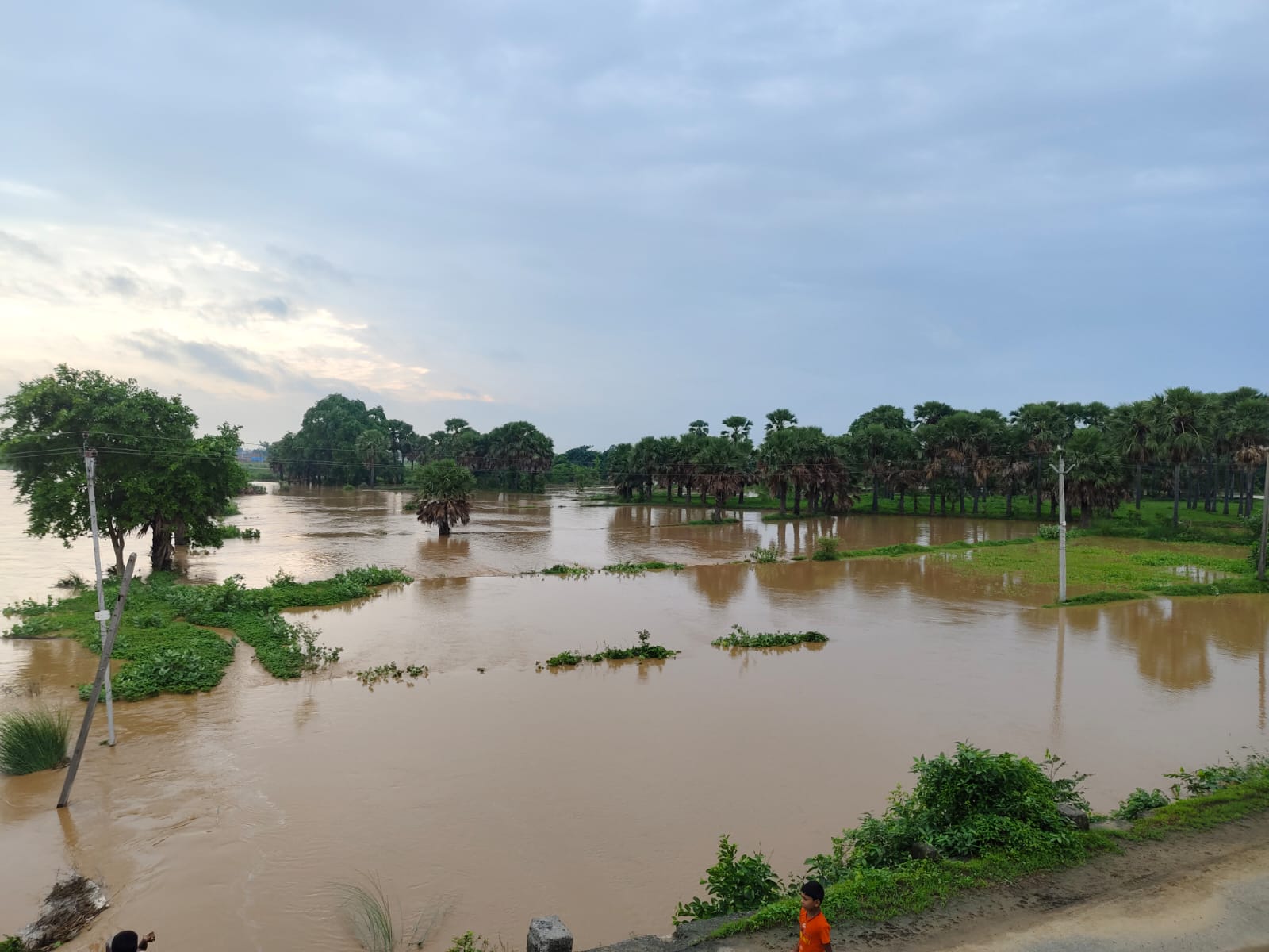 Flood In Dhanrua