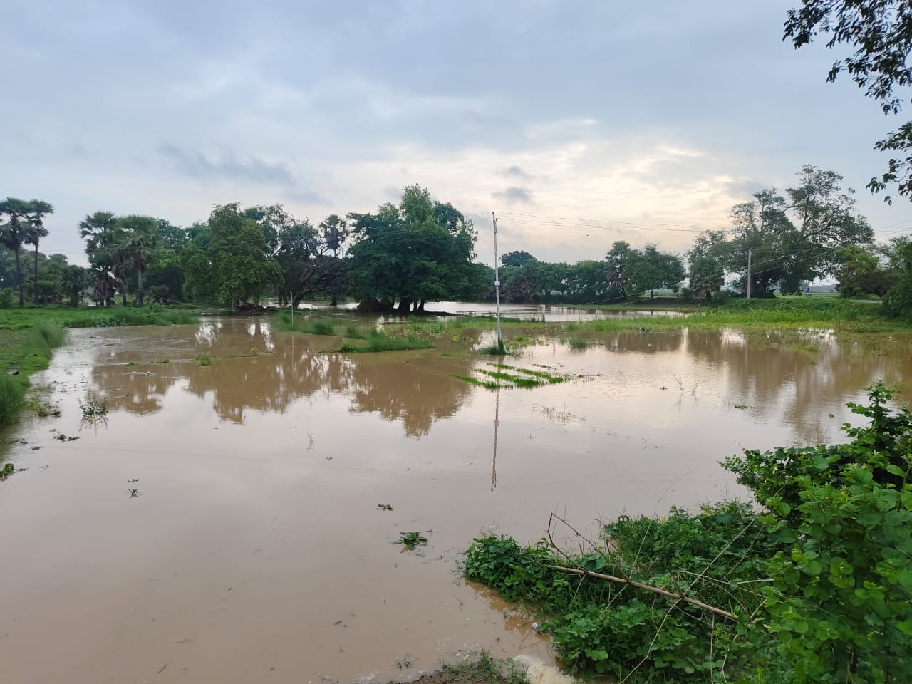 Flood In Dhanrua