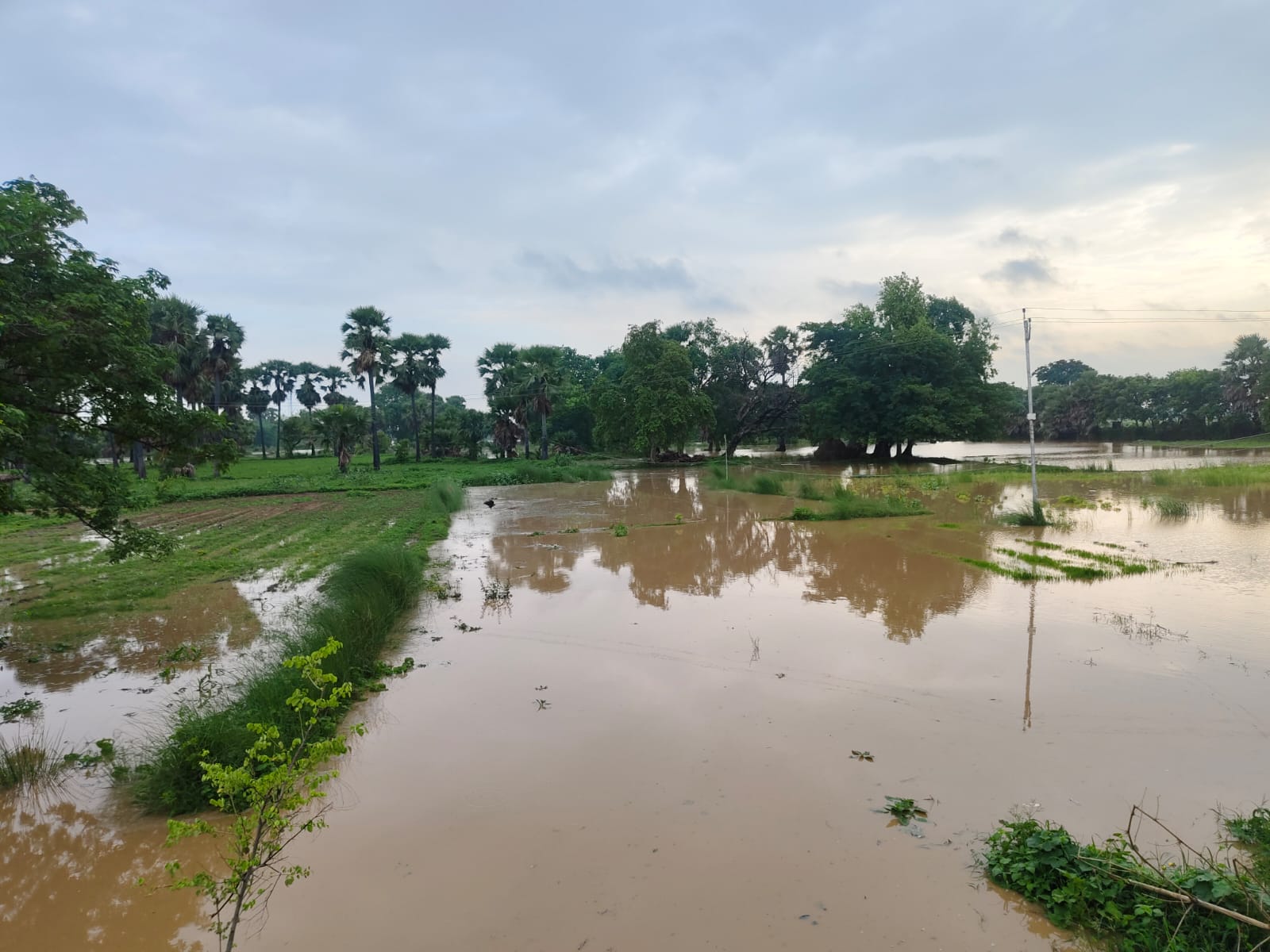 Flood In Dhanrua