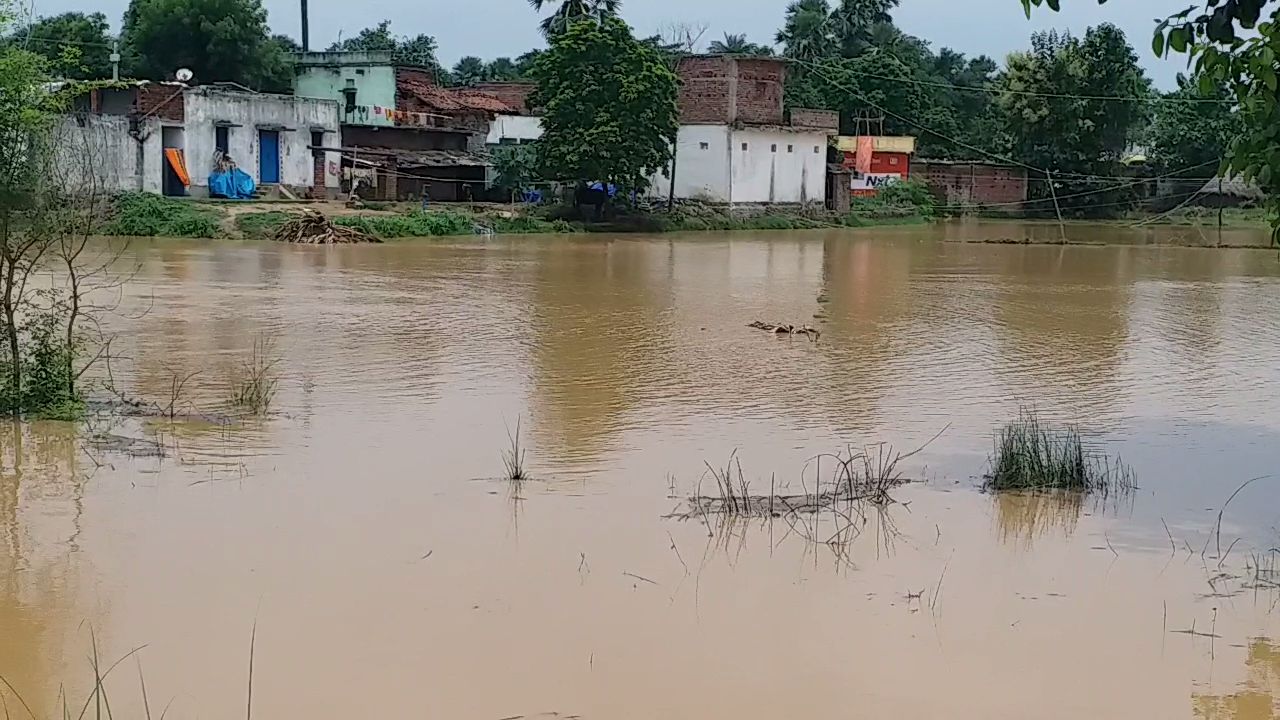 गांव में घुसा बाढ़ का पानी.