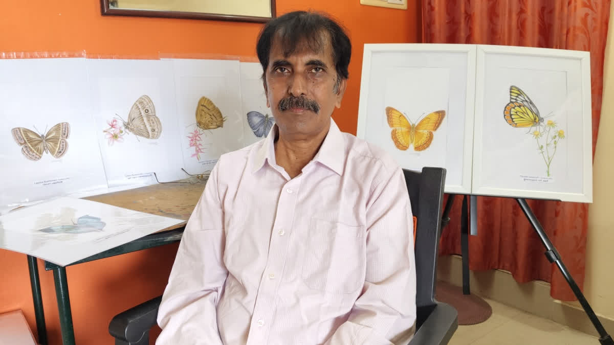 Suresh Raghawan Tamil Nadu Man’s Mission To Preserve The Beauty Of Vanishing Butterflies