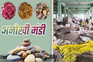 NEEMUCH UNIQUE MANDI
