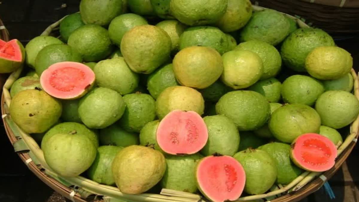 Health Benefits of Guava