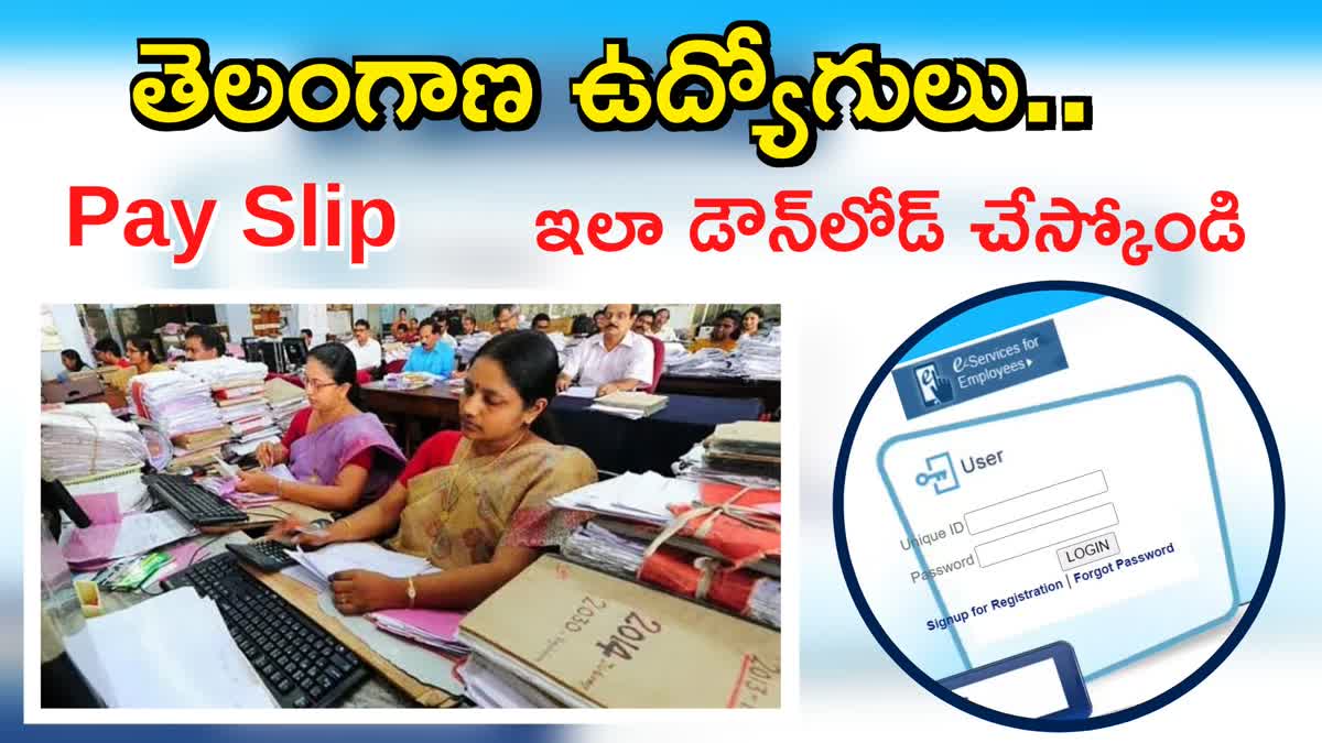 IFMIS Telangana Employee Pay Slip