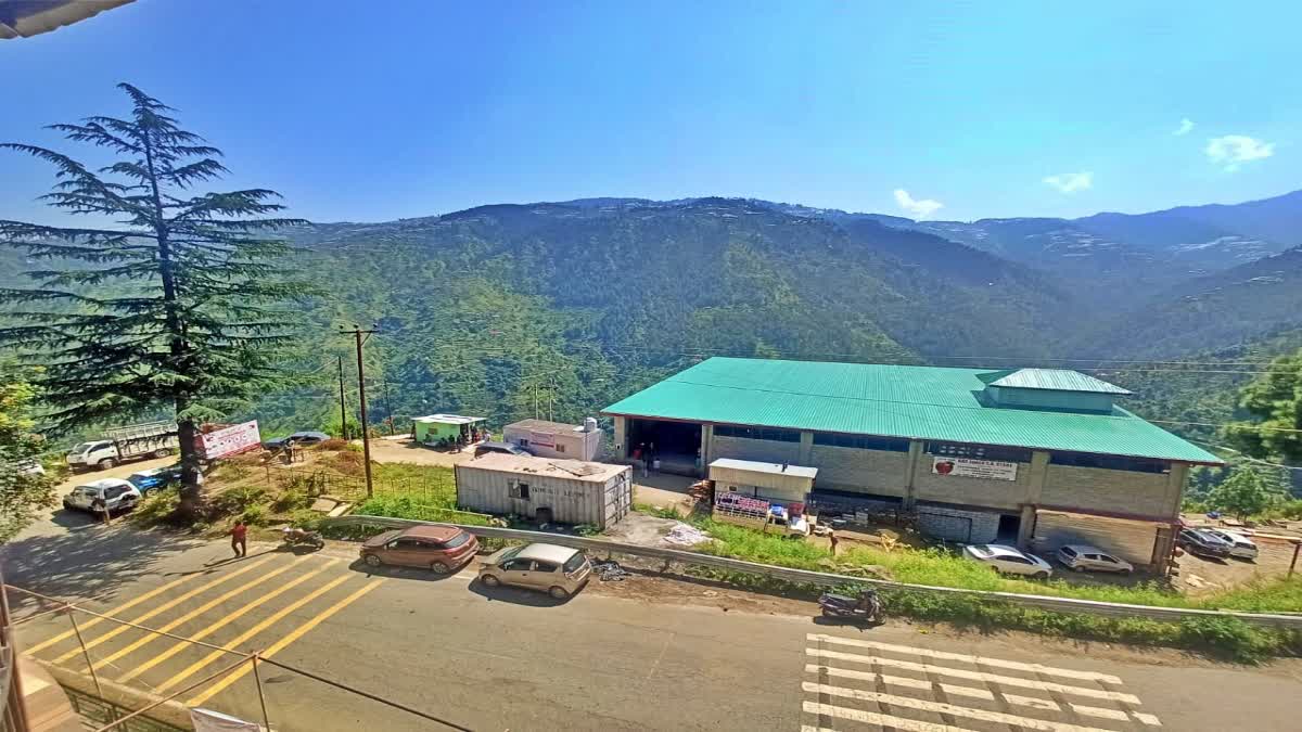 digital fruit market in shimla