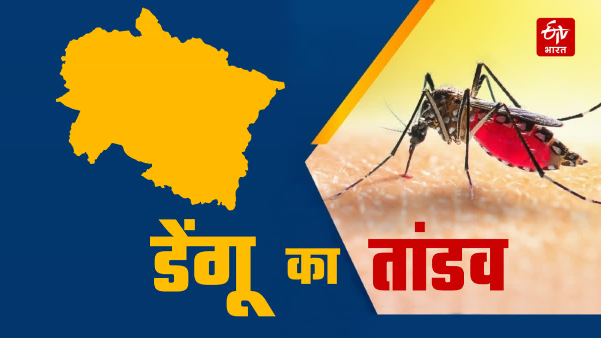 Dengue in Uttarakhand