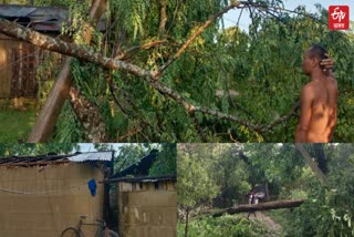 Storm Hit in Titabor