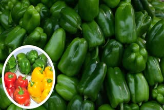 Benefits of Capsicum