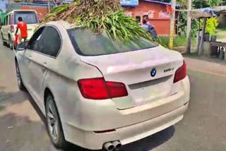 BMW कार से ढोया जा रहा जानवरों का चारा