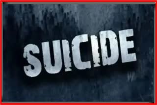 couple suicide news