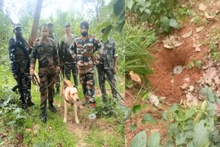 IED Recovered In Balrampur