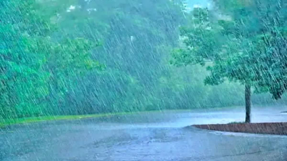 RAINFALL IN JHARKHAND