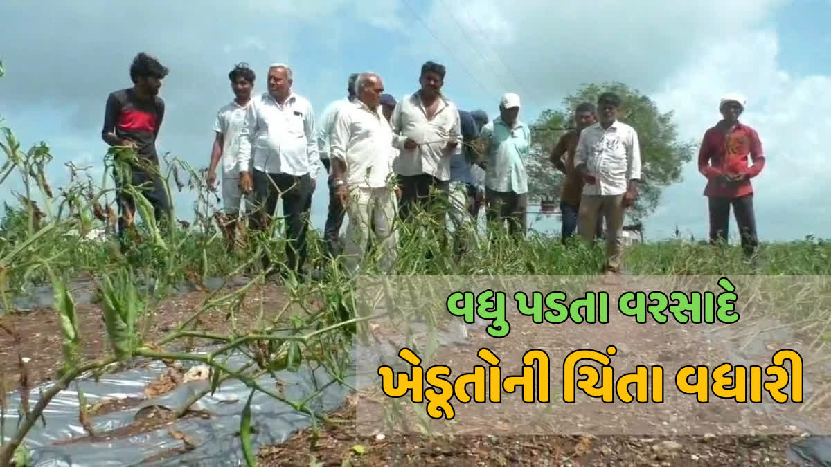 વિધે પંદરથી વિસ હજારની સહાય ચૂકવે તો જ ખેડૂત શિયાળું અને અન્ય પાકનું સારી રીતે વાવેતર કરી શકે