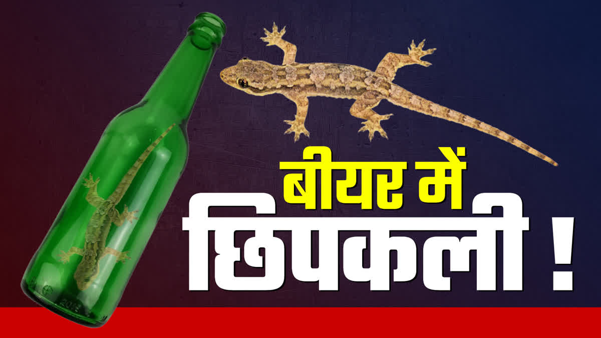 LIZARD IN BEER BOTTLE BETUL