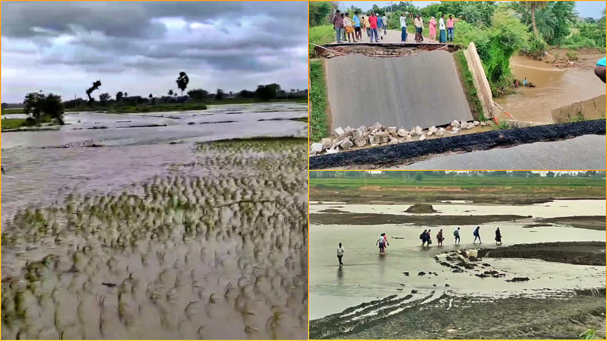 Floods Damage in Khammam and Mahabubabad