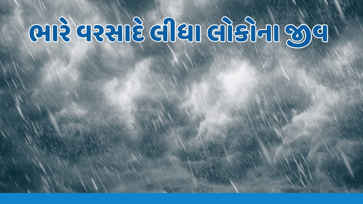 રાજ્યમાં આ સિઝનના વરસાદને કારણે કુલ 9 લોકો અને 2618 પશુઓના મોત