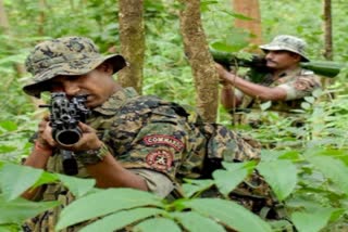 Six Maoists Killed In Encounter