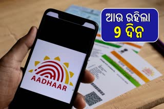 Free Aadhaar Update