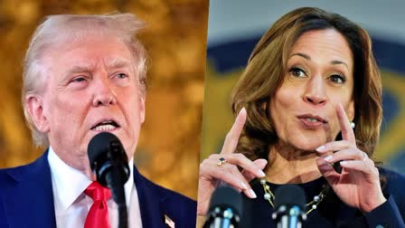 INDIAN VOTERS ASIANS MAGA US POLL  KAMALA HARRIS DONALD TRUMP US POLL  അമേരിക്കയിലെ ഇന്ത്യന്‍ വോട്ടര്‍  യുഎസ് പ്രസിഡന്‍റ് തെരഞ്ഞെടുപ്പ്