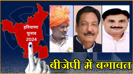 Haryana Assembly Elections 2024