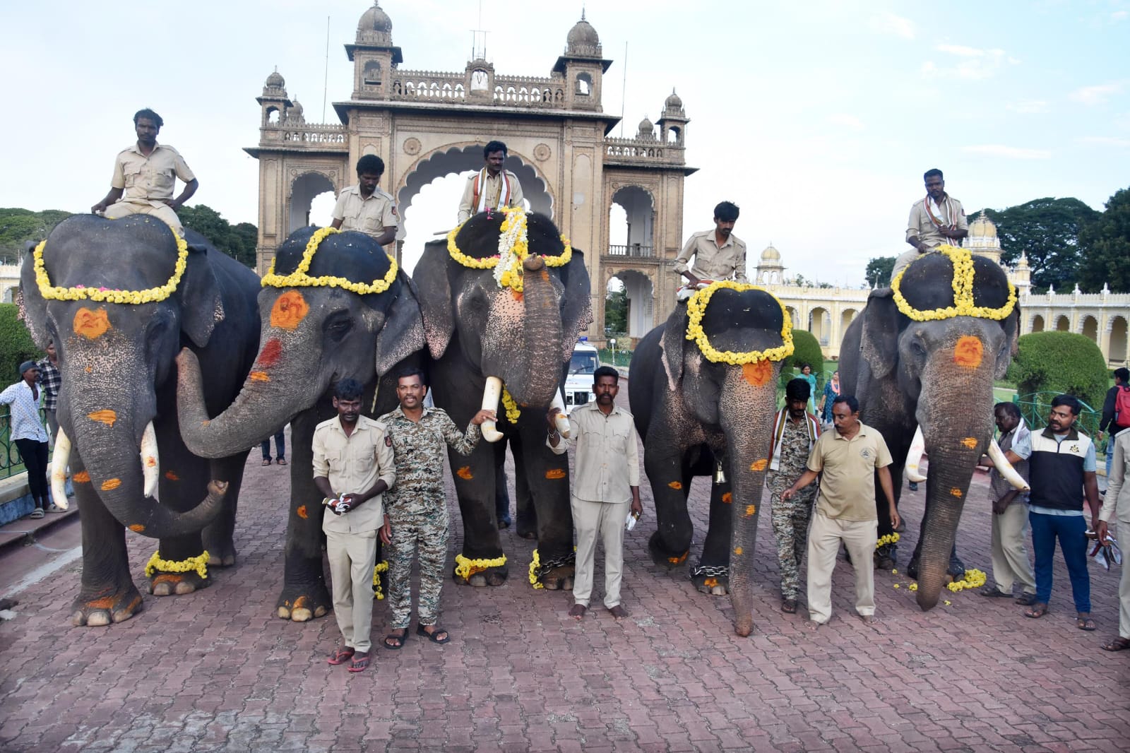 traditional-welcome-to-the-2nd-team-of-dasara-gajapade-on-arrival-at-the-palace