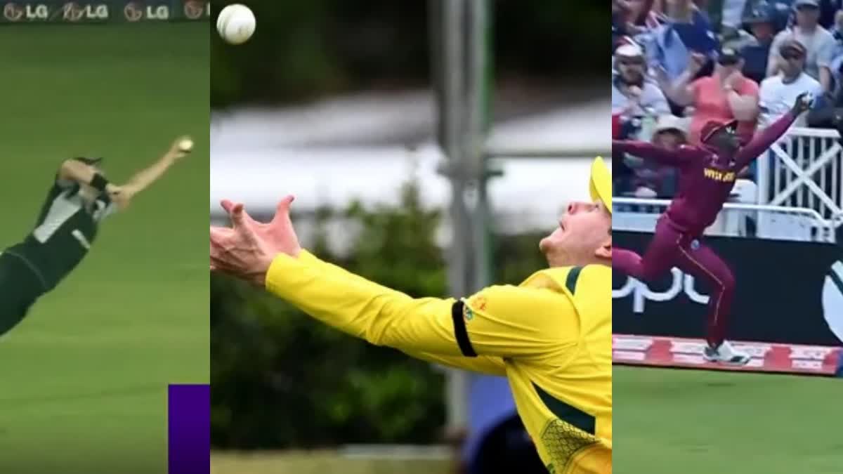 Top 5 Catches In Cricket World Cup History