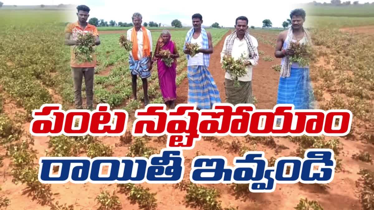 deficit_rains_cause_huge_crop_loss_in_anantapur_district