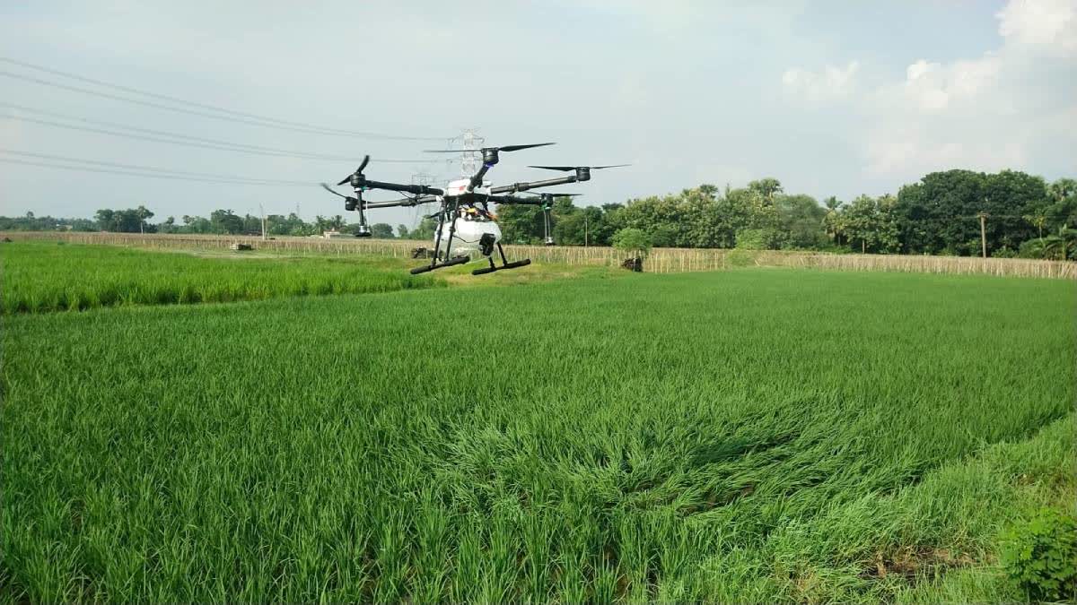 Drone Used in Aman Cultivation