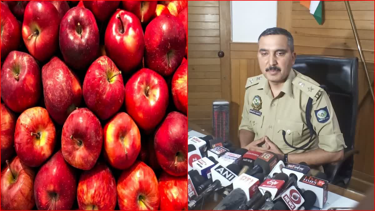 Himachal Apple agent Fraud