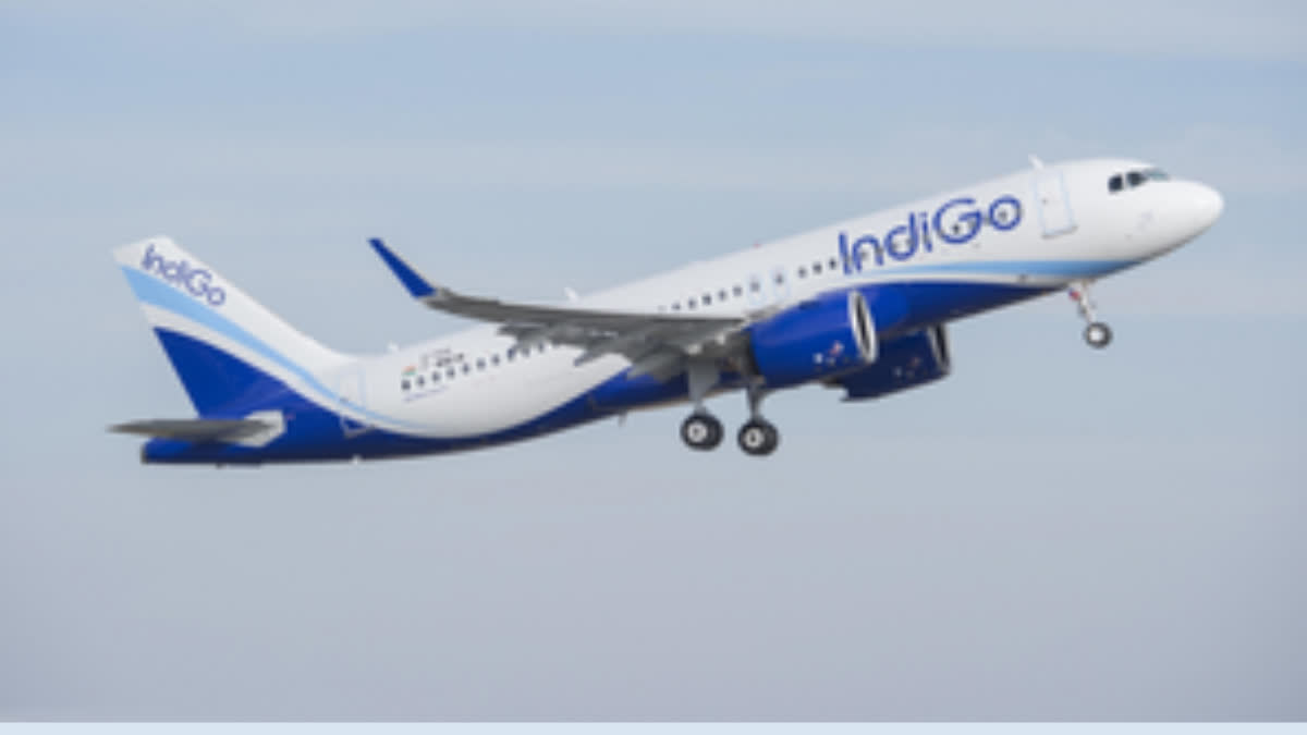 IndiGo