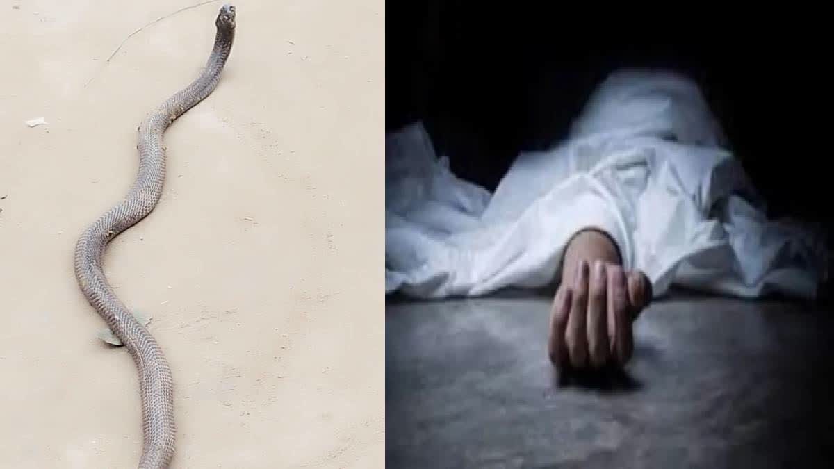 Boy Death in Snake Bite