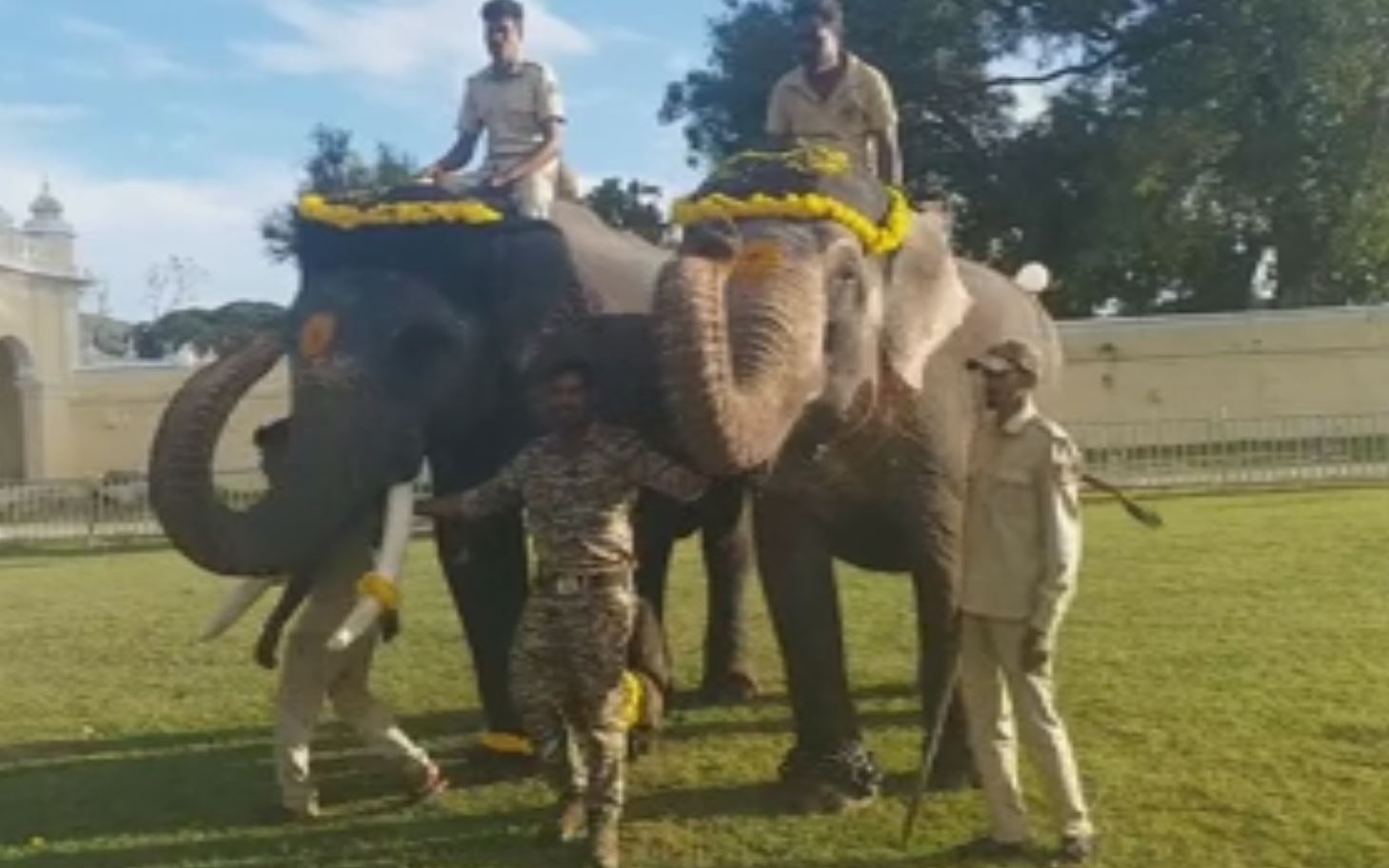 ಮೈಸೂರು ರಾಜವಂಶಸ್ಥರಿಗೆ ರೋಹಿತ್ ಆನೆ ಅಚ್ಚು-ಮೆಚ್ಚು