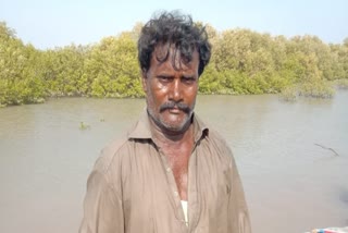 Pakistani fisherman arrested near Sir Creek in Gujarat's Kutch