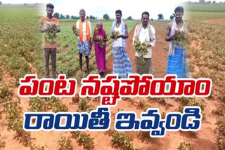 deficit_rains_cause_huge_crop_loss_in_anantapur_district