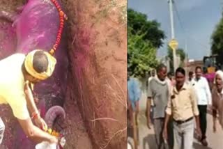 buffalo-funeral-procession-with-band-and-jcb-in-jhansi