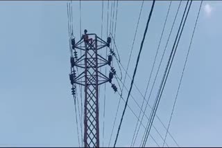 Person Climbing High Voltage Pole Video Viral
