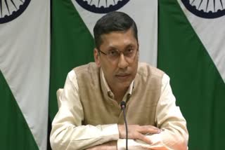 MEA Spokesperson Arindam Bagch