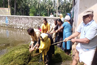 Renovation Of Panchayath Pond  Renovation Of Panchayath Pond in kozhikode  local people try to renovate panchayath pond  renovation of panchayath pond  peruvannur panchayath pond renvovation  പെരുവയൽ പഞ്ചായത്ത്‌ കുളം നവീകരണം  മാലിന്യ വിമുക്ത‌ പെരുവയൽ പഞ്ചായത്ത്‌ പദ്ധതി  കോഴിക്കോട്‌ പഞ്ചായത്ത്‌ കുളം നവീകരണം  പഞ്ചായത്ത്‌ കുളത്തിന്‍റെ നവീകരണം  നാട്ടുകാരൊന്നിച്ച്‌ കുളം നന്നാക്കൽ പദ്ധതി