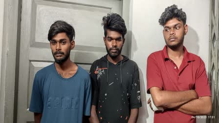 Youths Arrested Stole Cardamom In Idukki  Youths Arrested In Idukki  Stole Cardamom In Idukki  Stole Cardamom  കൃഷിയിടത്തിൽ നിന്നും പതിവായി ഏലക്ക മോഷ്‌ടിച്ചു  ഏലക്ക മോഷ്‌ടിച്ചിരുന്ന യുവാക്കൾ പിടിയിൽ  ഇടുക്കിയിൽ ഏലക്ക മോഷ്‌ടിച്ച യുവാക്കൾ പിടിയിൽ  ഏലക്ക മോഷണം  പാമ്പാടുംപറയിൽ ഏലക്ക മോഷണം  യുവാക്കൾ മോഷണം നടത്തുന്നു